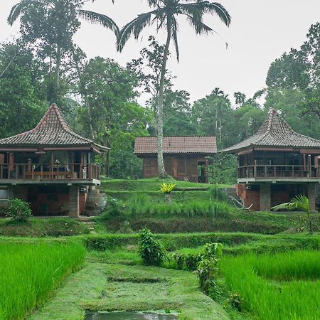 Tepi Sawah Lodge & Retreat Jatiluwih Eksteriør billede