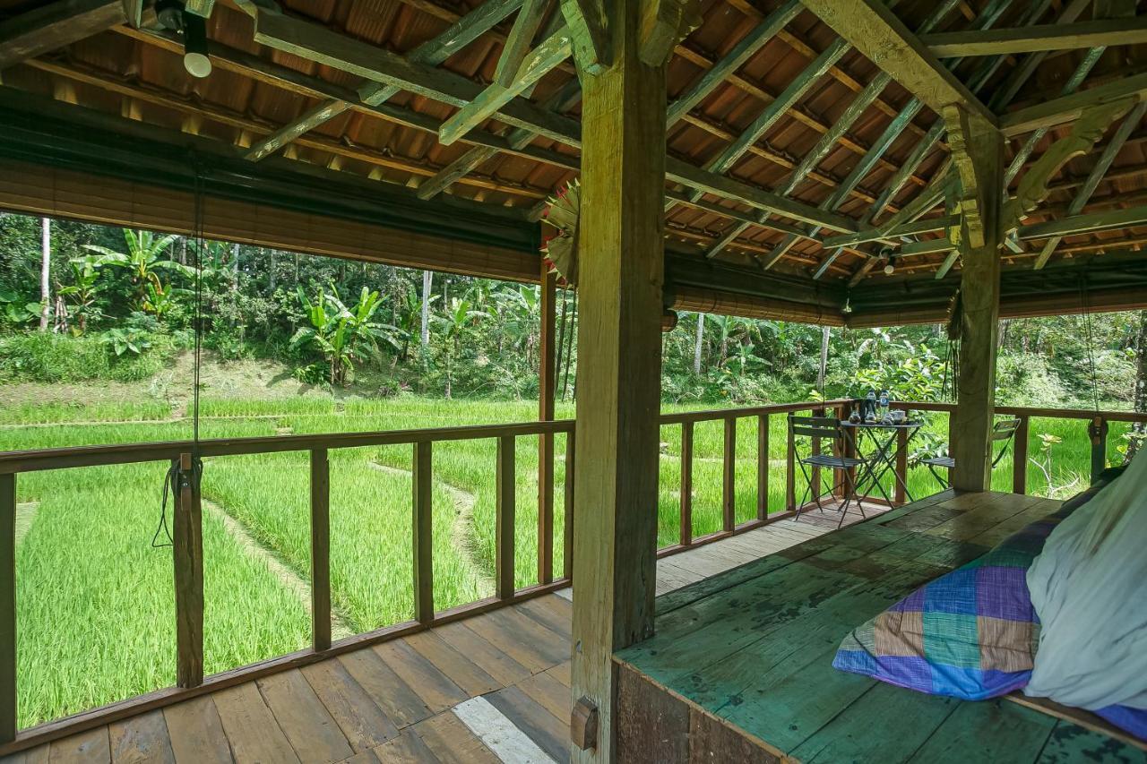 Tepi Sawah Lodge & Retreat Jatiluwih Eksteriør billede