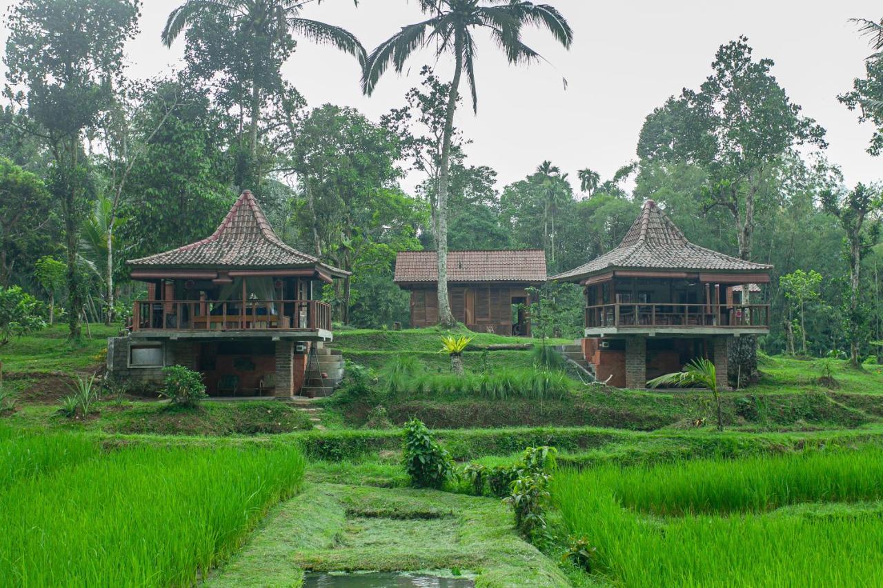 Tepi Sawah Lodge & Retreat Jatiluwih Eksteriør billede