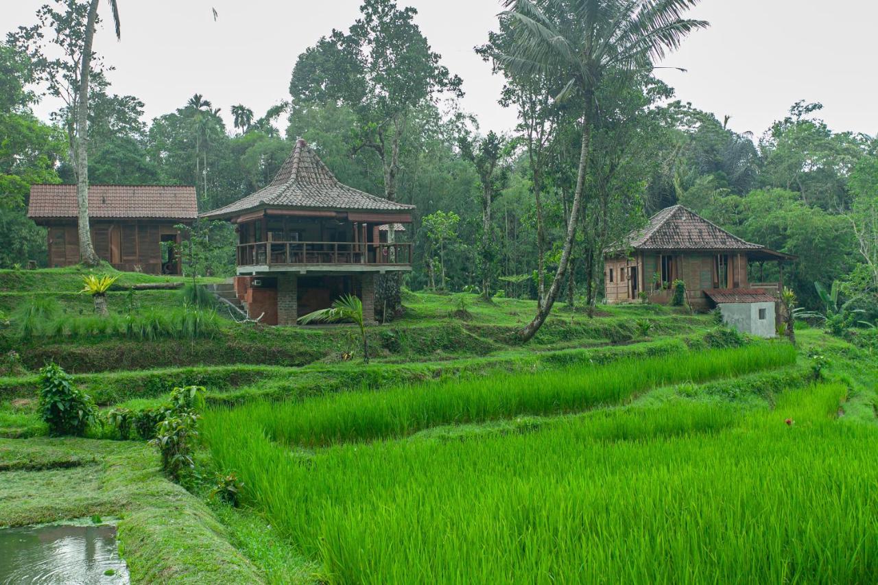 Tepi Sawah Lodge & Retreat Jatiluwih Eksteriør billede