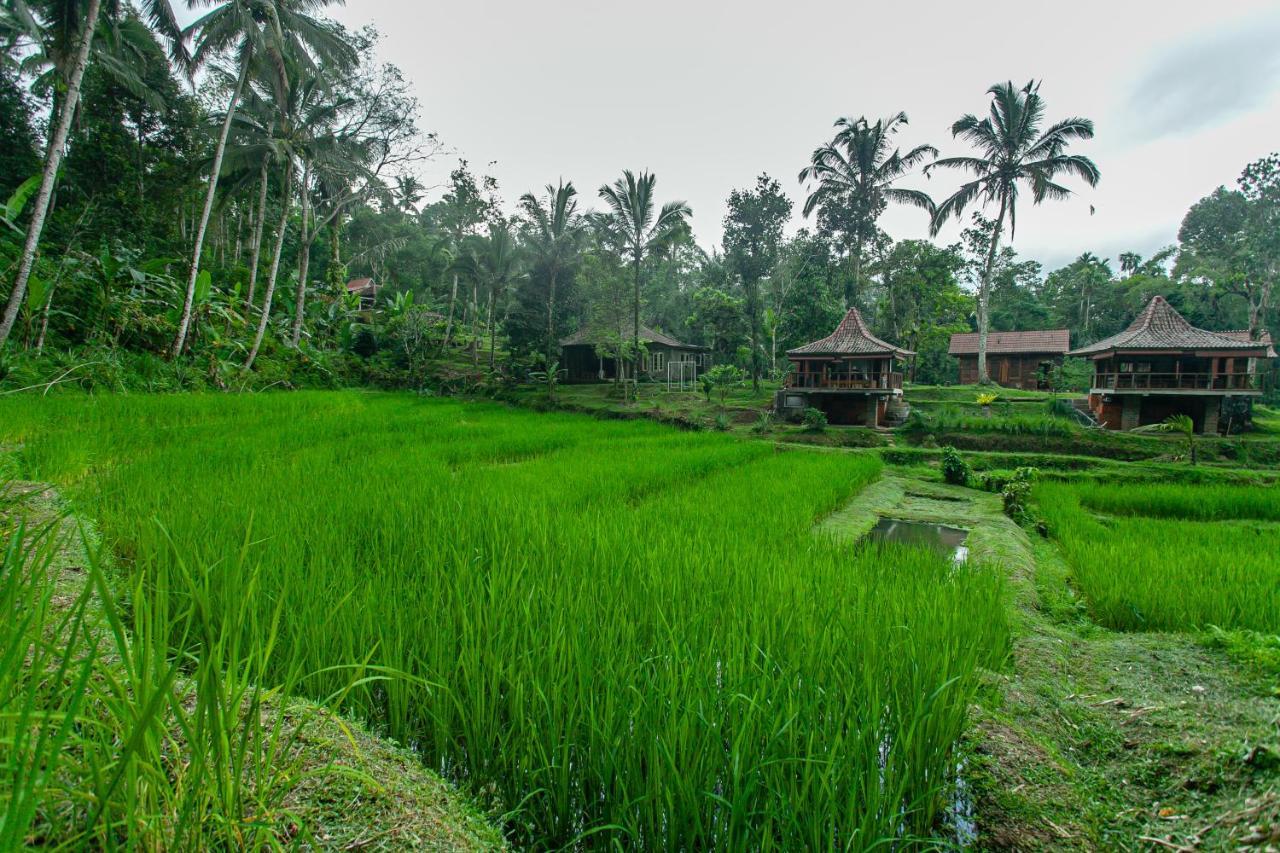 Tepi Sawah Lodge & Retreat Jatiluwih Eksteriør billede