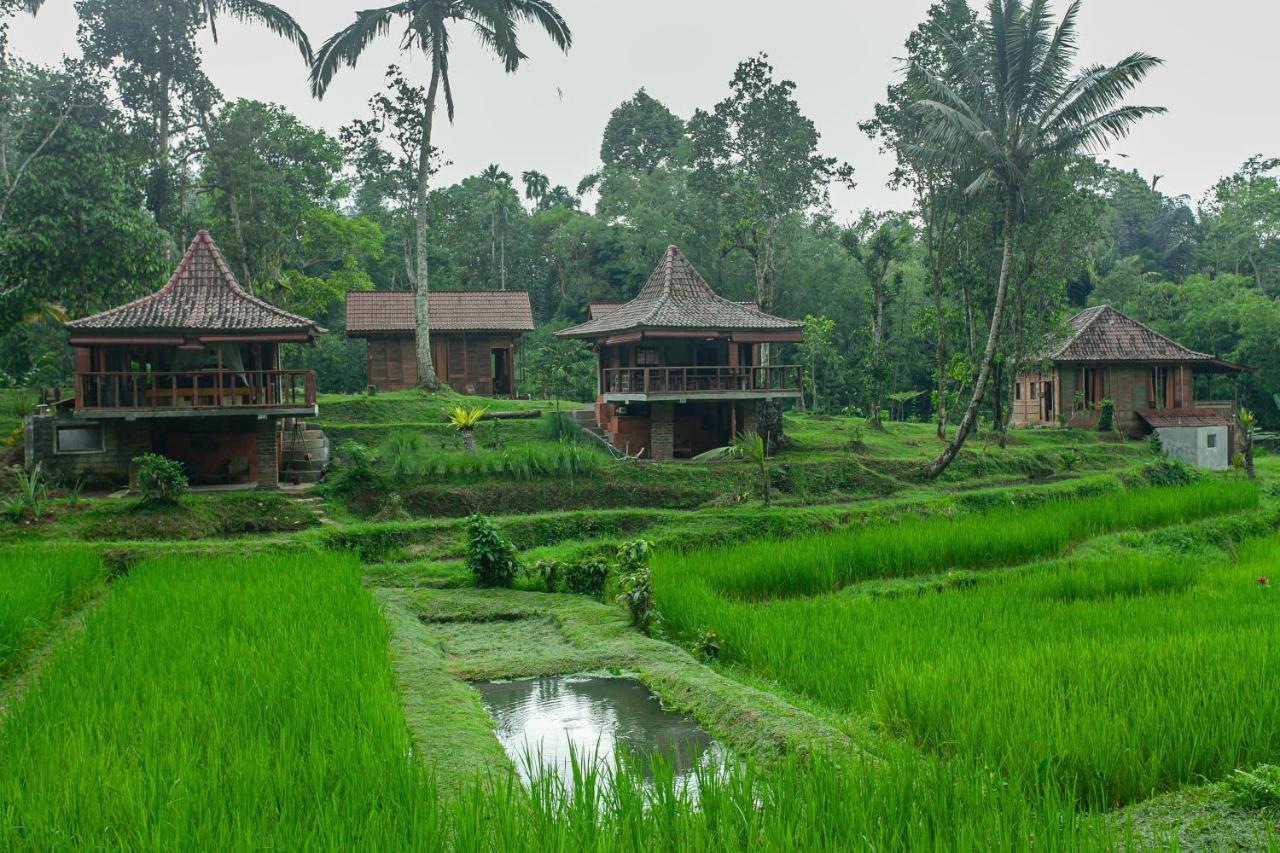 Tepi Sawah Lodge & Retreat Jatiluwih Eksteriør billede