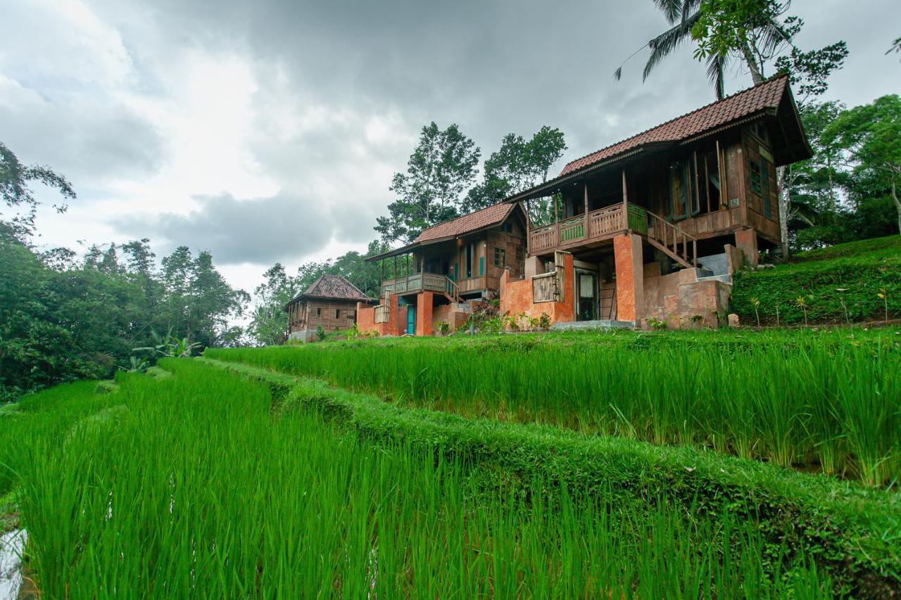 Tepi Sawah Lodge & Retreat Jatiluwih Eksteriør billede