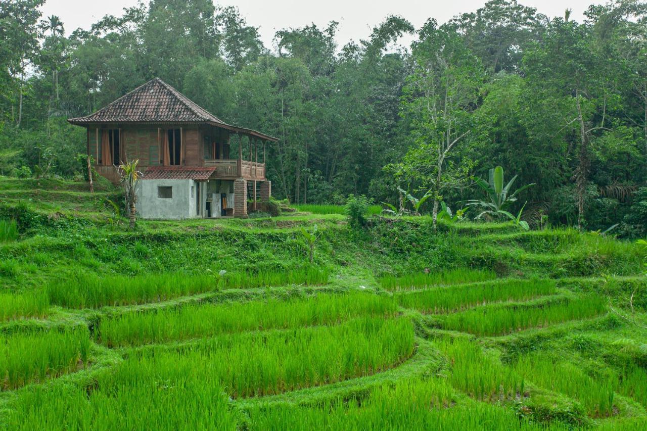 Tepi Sawah Lodge & Retreat Jatiluwih Eksteriør billede