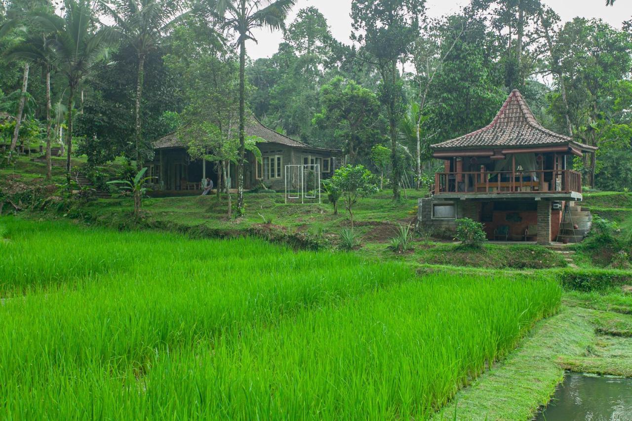 Tepi Sawah Lodge & Retreat Jatiluwih Eksteriør billede