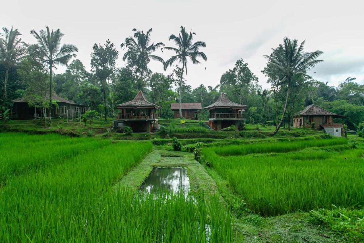 Tepi Sawah Lodge & Retreat Jatiluwih Eksteriør billede
