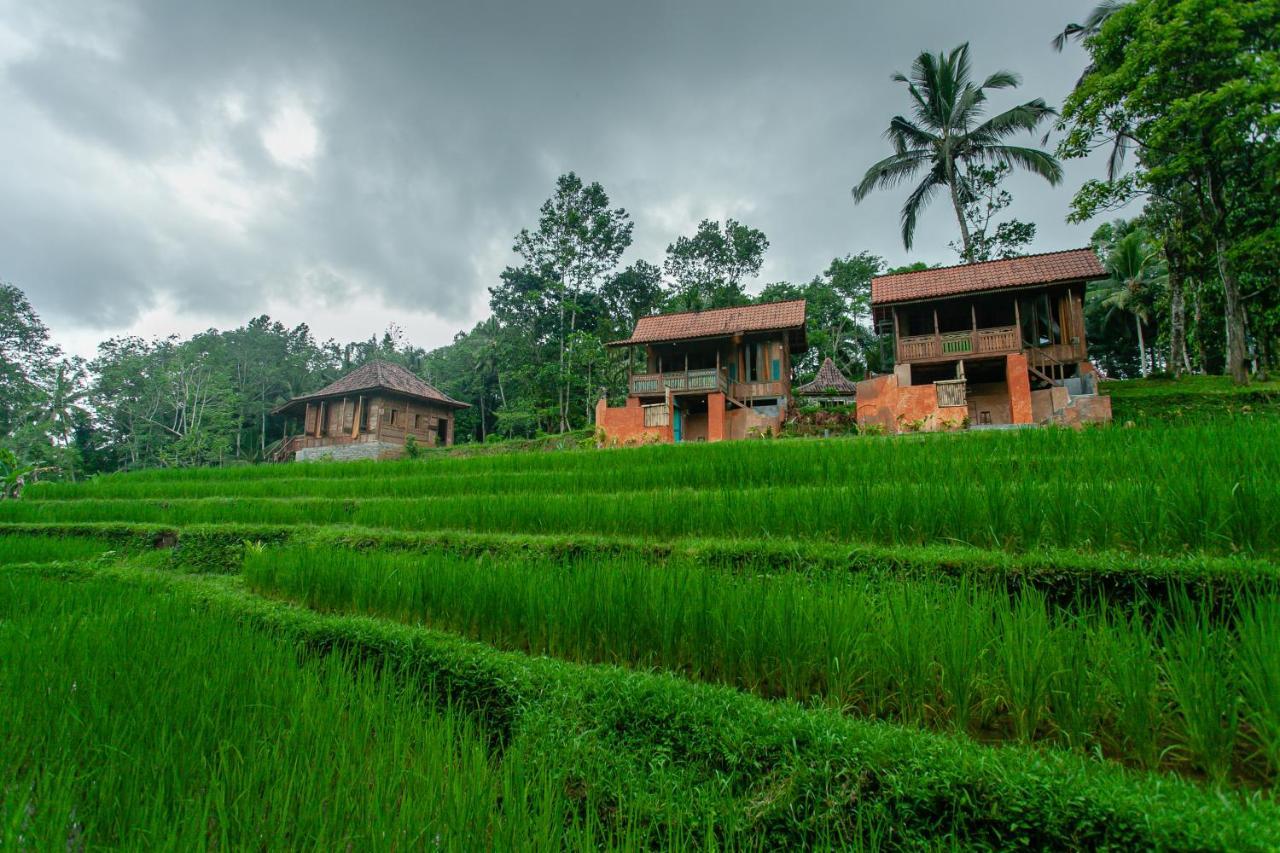 Tepi Sawah Lodge & Retreat Jatiluwih Eksteriør billede
