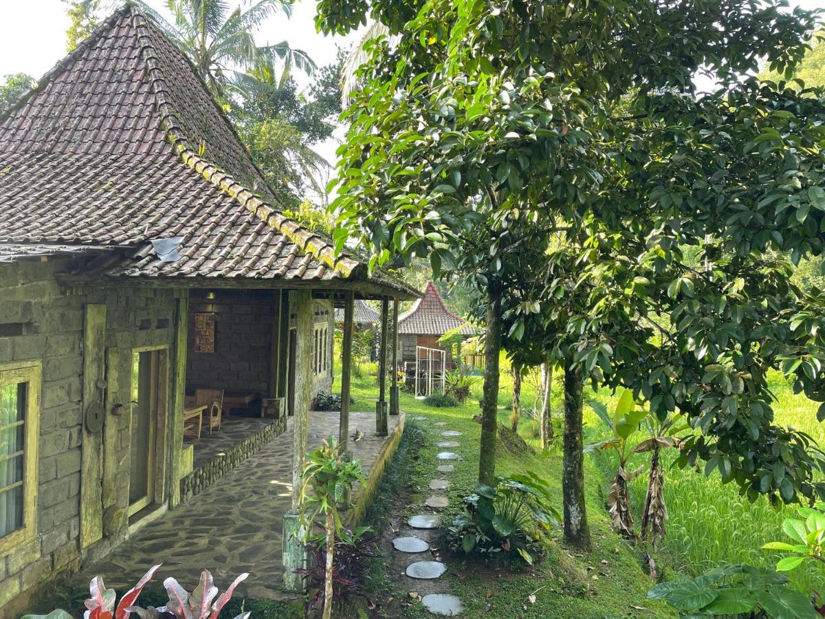 Tepi Sawah Lodge & Retreat Jatiluwih Eksteriør billede