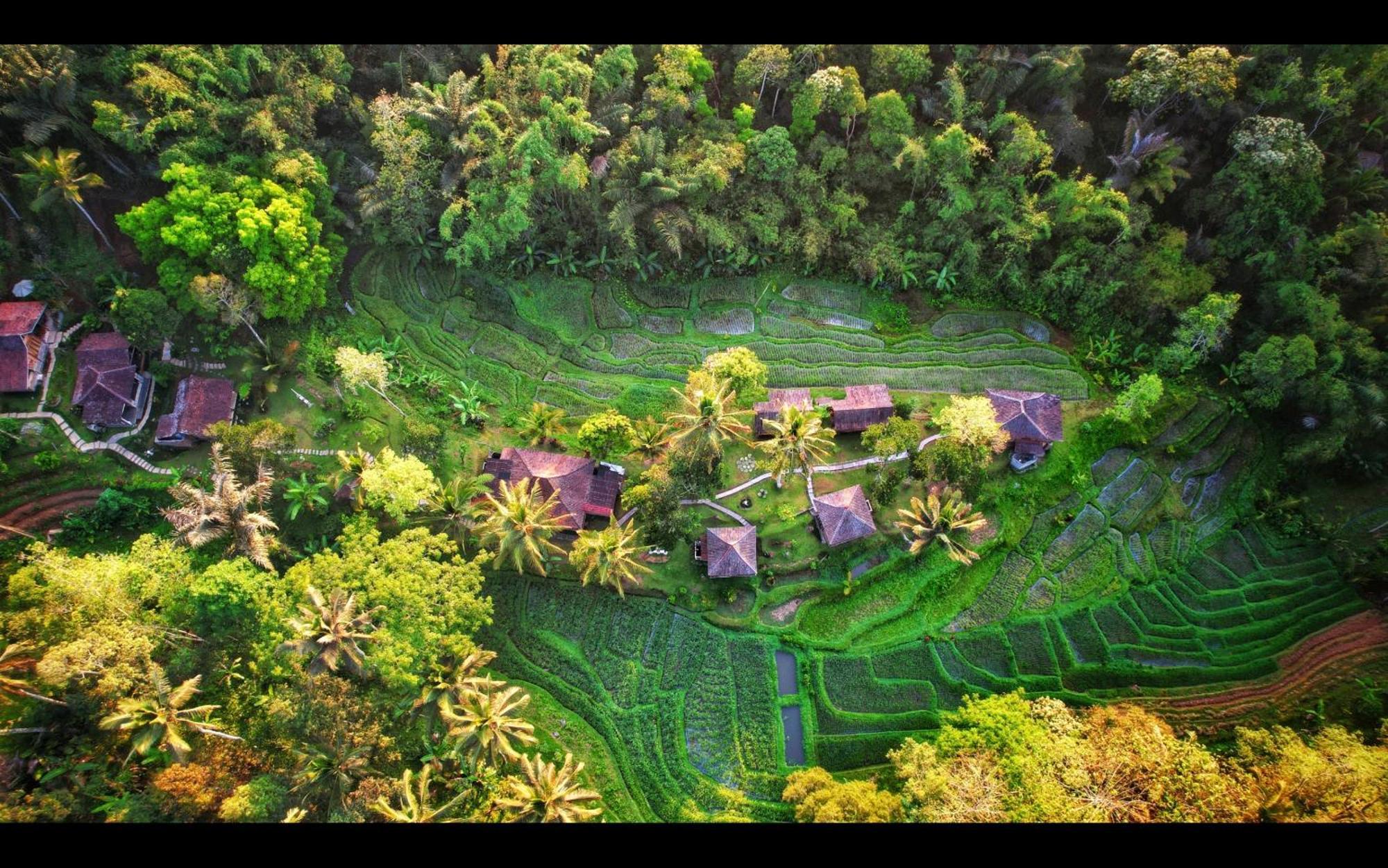 Tepi Sawah Lodge & Retreat Jatiluwih Eksteriør billede