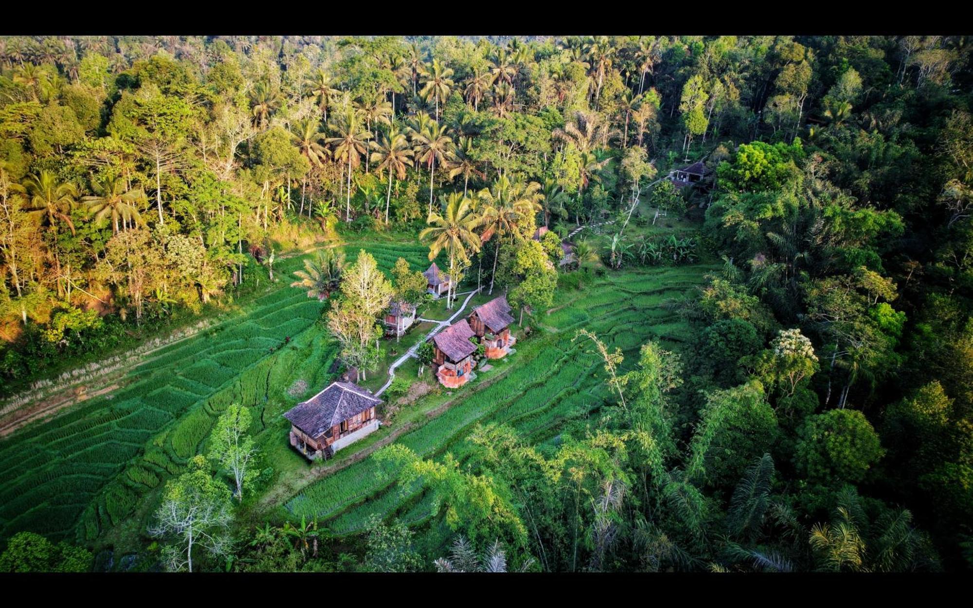 Tepi Sawah Lodge & Retreat Jatiluwih Eksteriør billede
